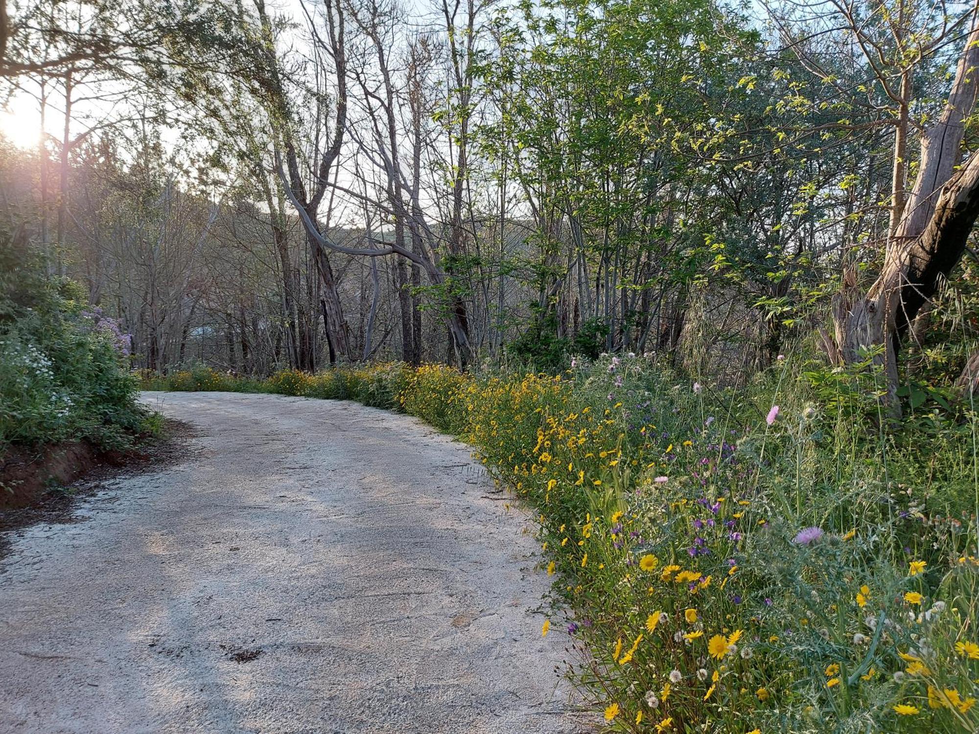 Finca Naturacanaria Moya  Εξωτερικό φωτογραφία