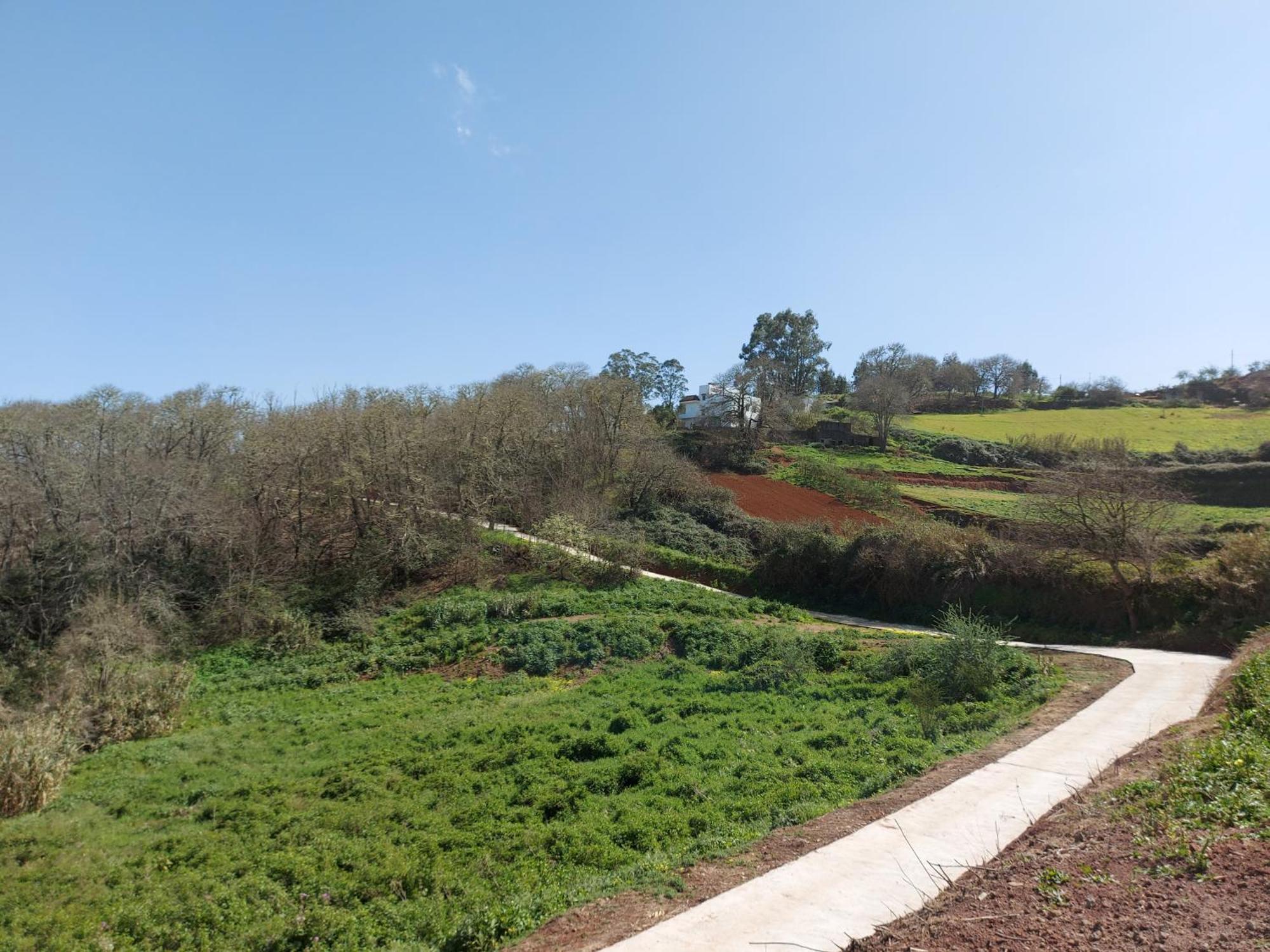 Finca Naturacanaria Moya  Εξωτερικό φωτογραφία