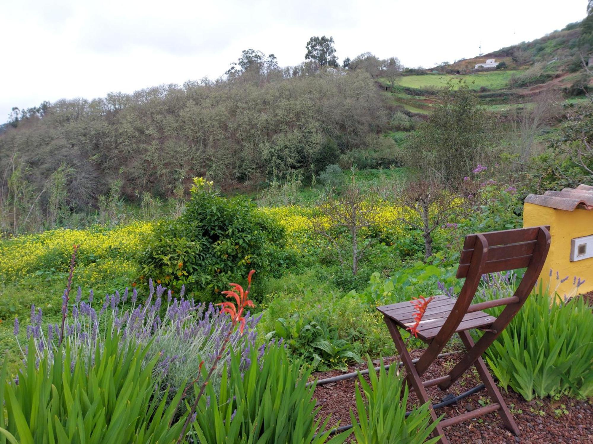 Finca Naturacanaria Moya  Εξωτερικό φωτογραφία