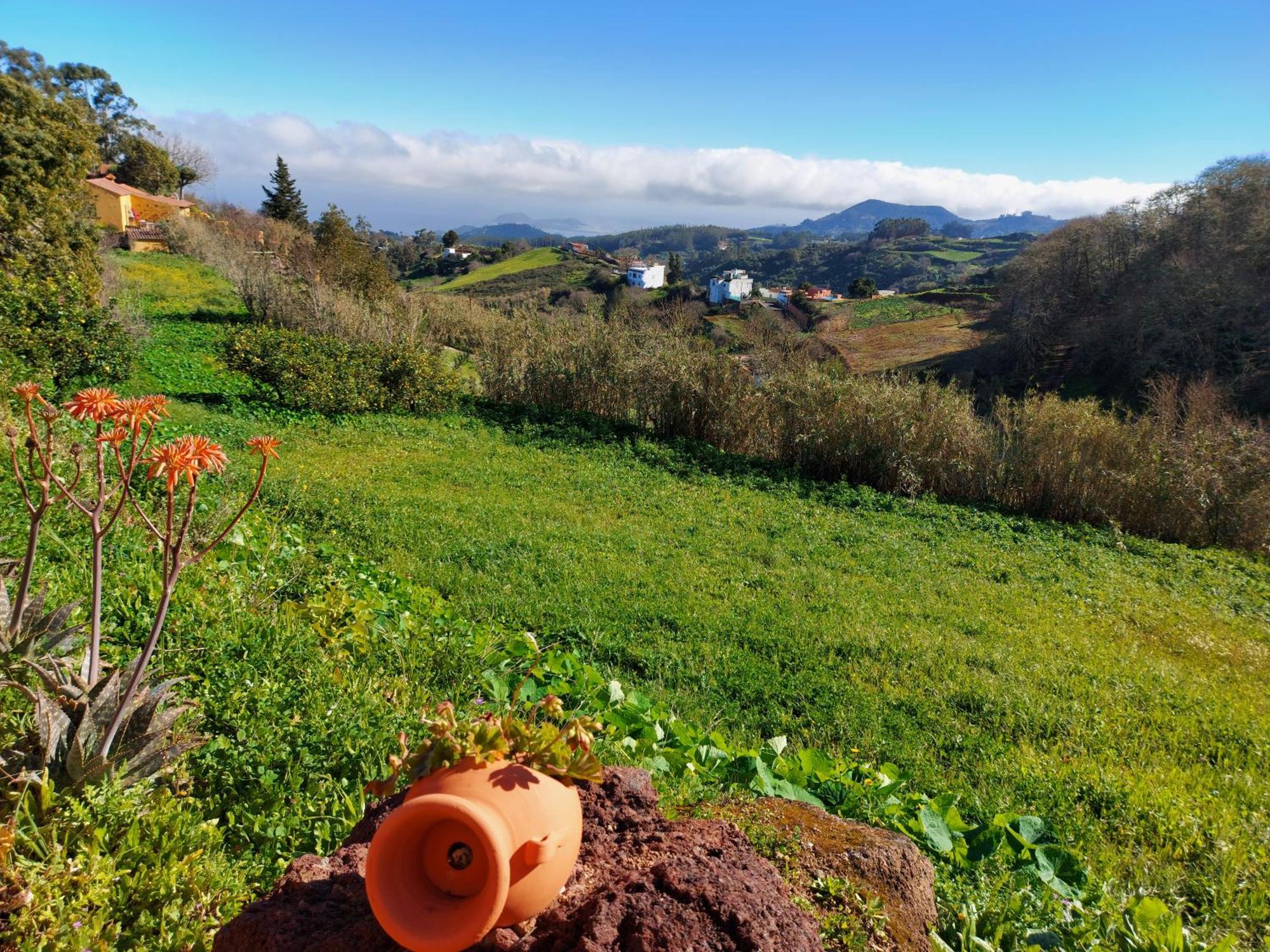 Finca Naturacanaria Moya  Εξωτερικό φωτογραφία