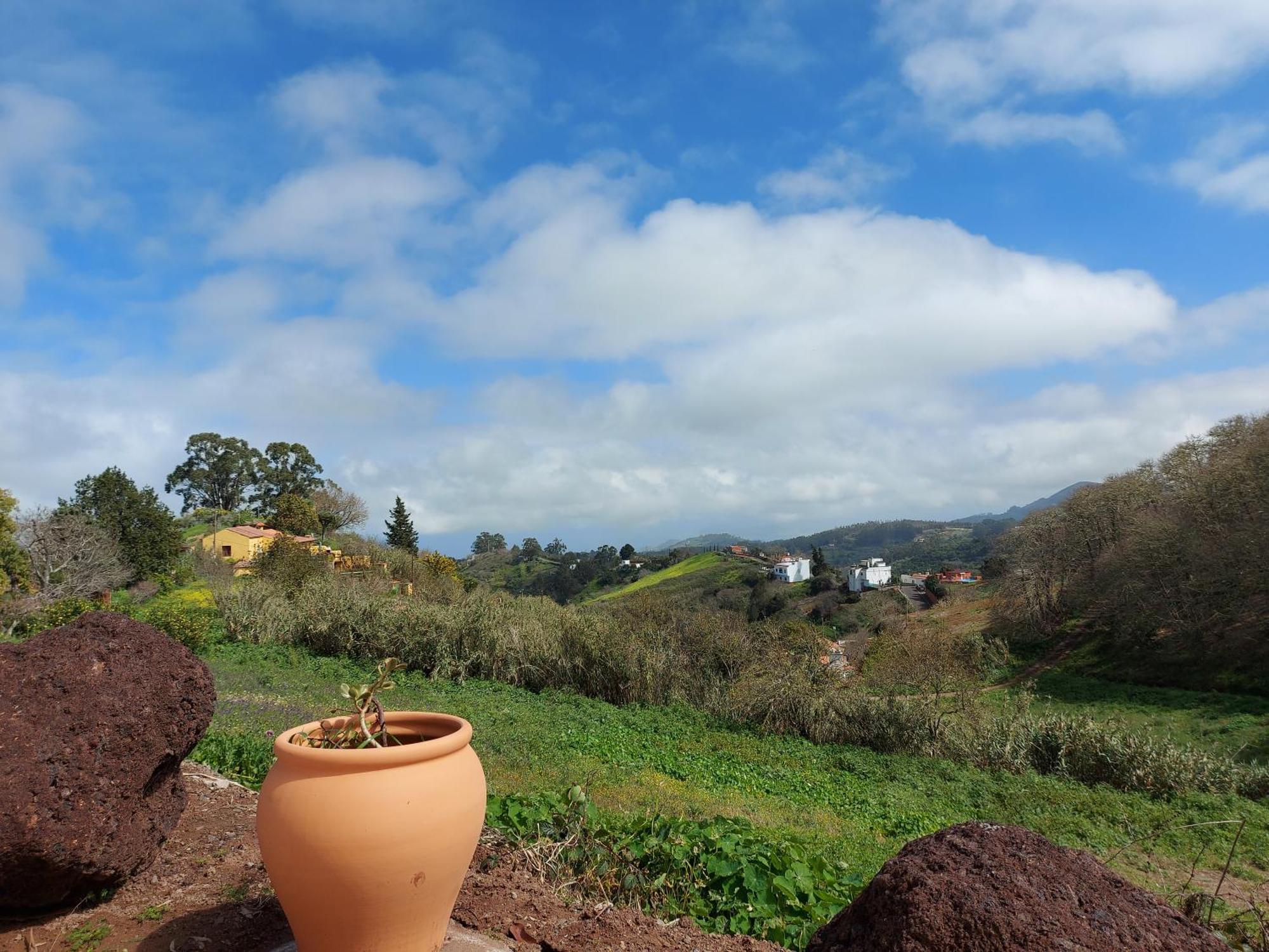 Finca Naturacanaria Moya  Εξωτερικό φωτογραφία