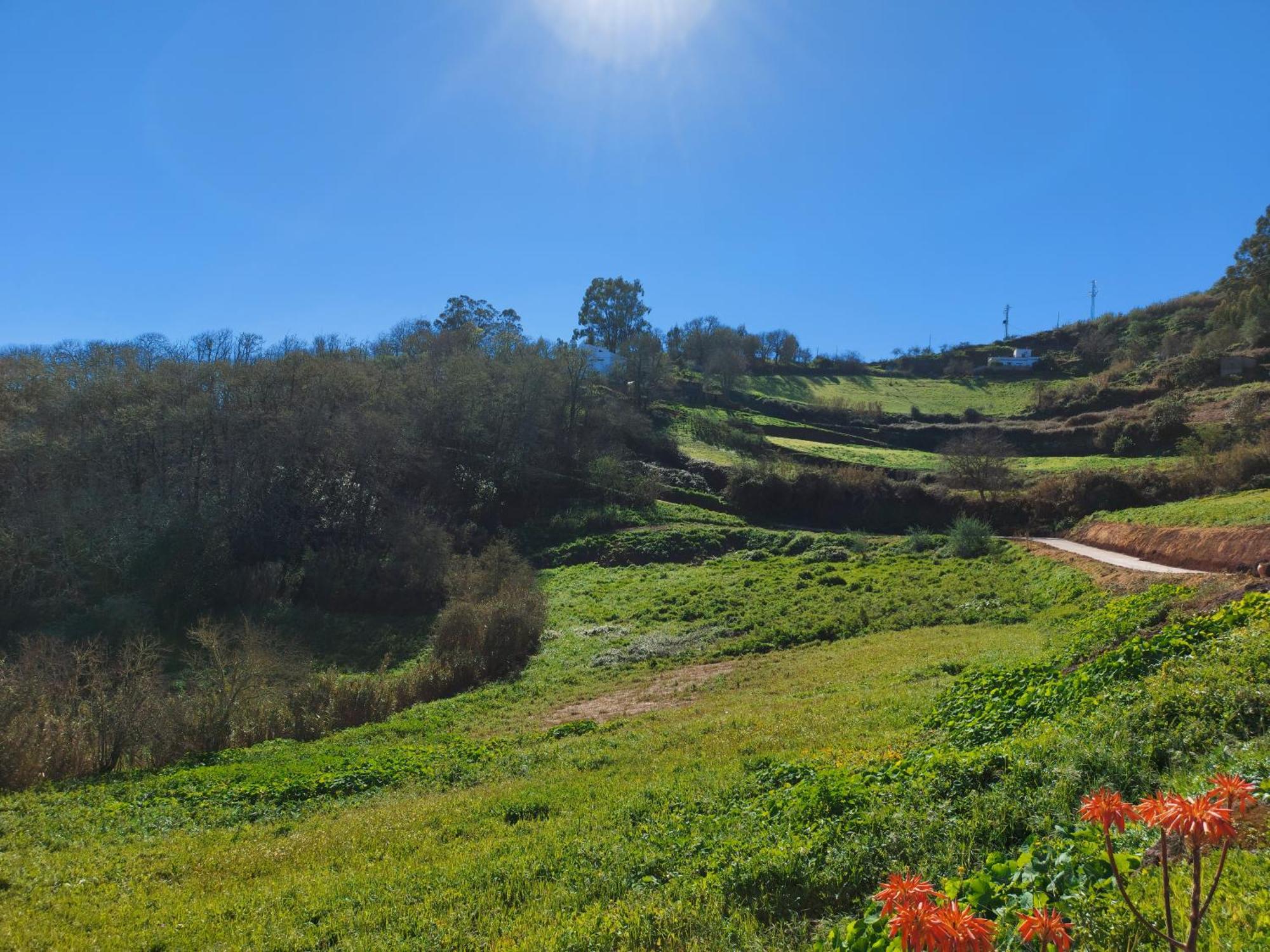Finca Naturacanaria Moya  Εξωτερικό φωτογραφία