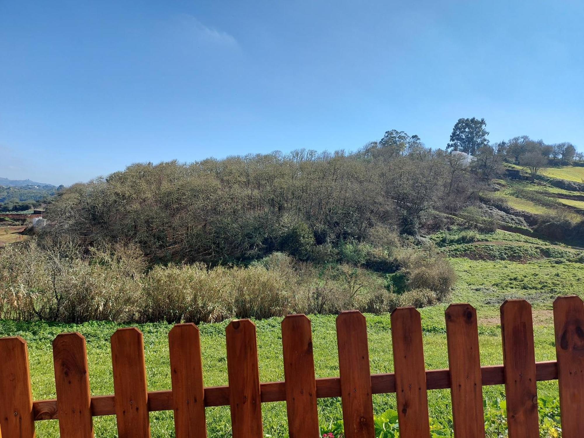 Finca Naturacanaria Moya  Εξωτερικό φωτογραφία