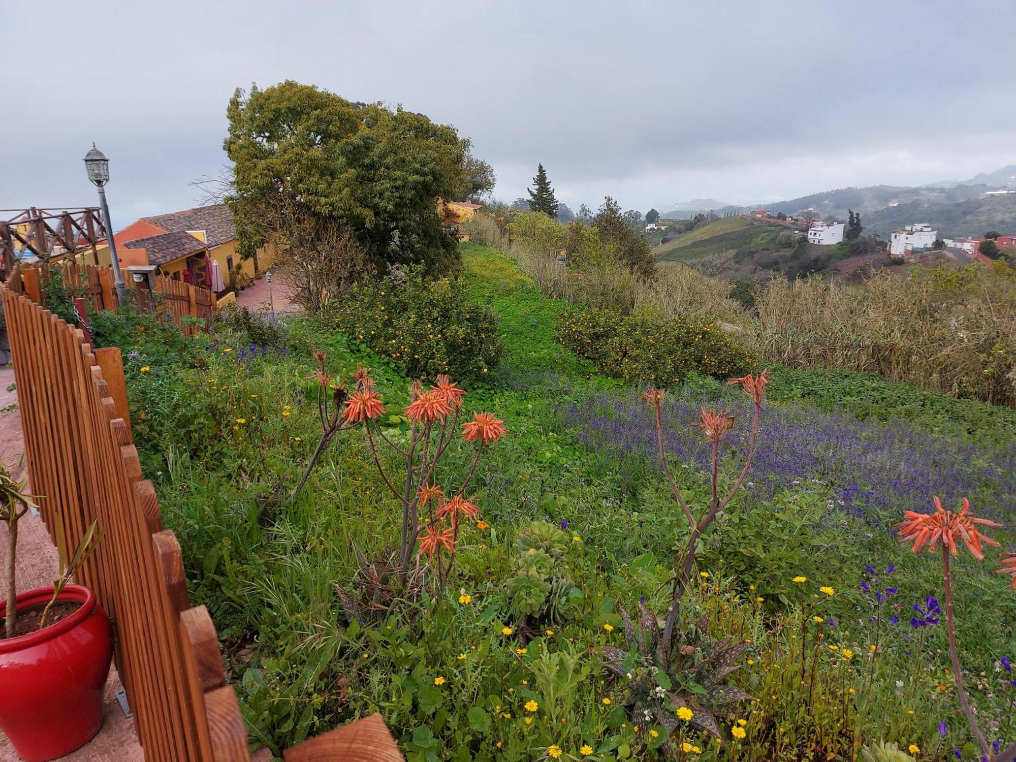 Finca Naturacanaria Moya  Εξωτερικό φωτογραφία