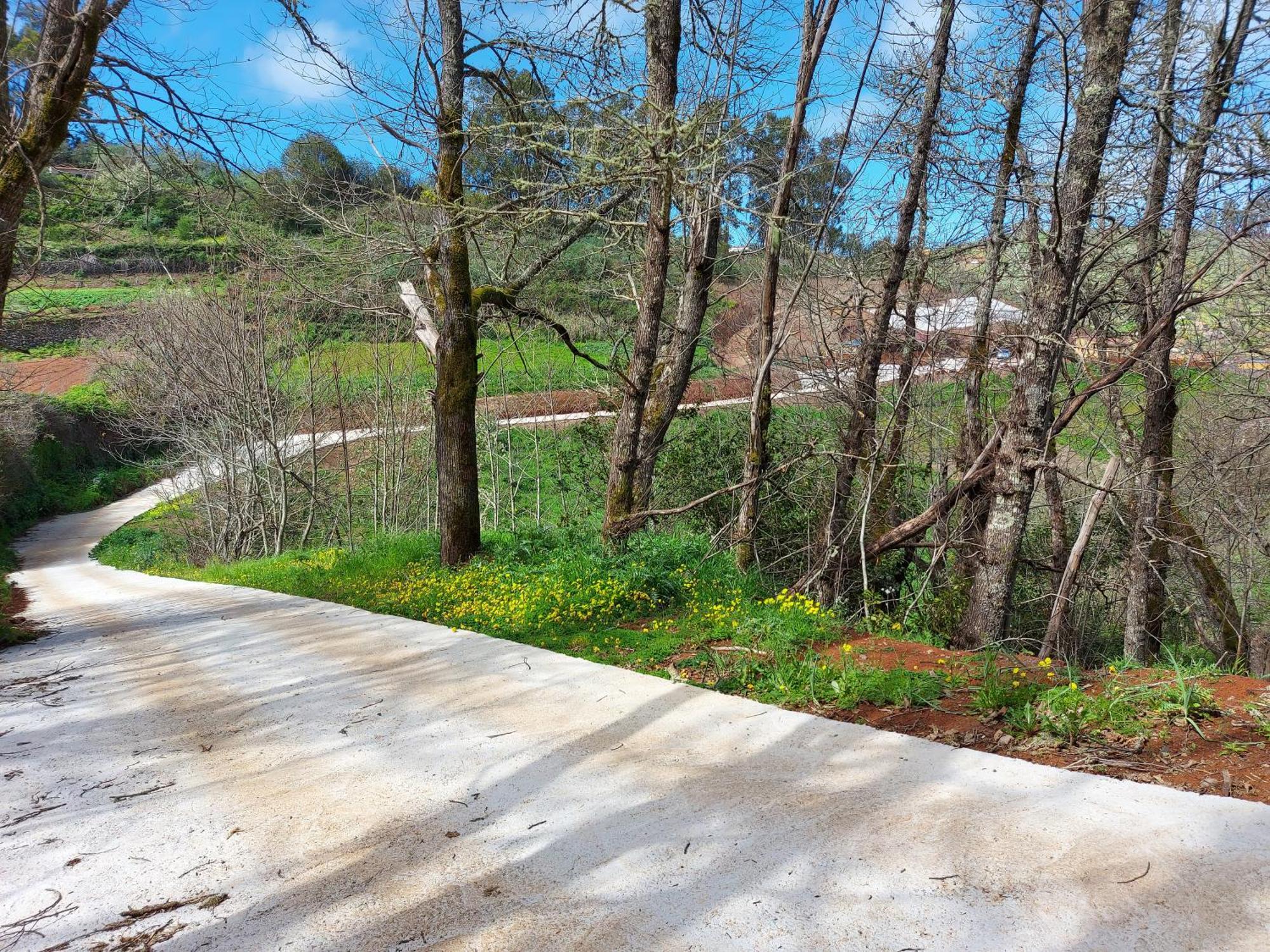 Finca Naturacanaria Moya  Εξωτερικό φωτογραφία